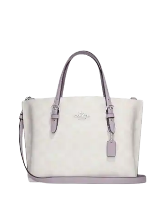 Coach Mollie Tote 25 In Signature Canvas | Brixton Baker