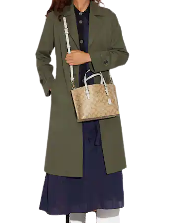 Coach Mollie Tote 25 In Signature Canvas