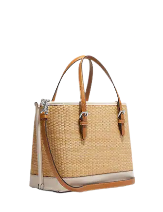 Coach Mollie Tote 25 With Floral Embroidery