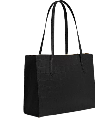 Coach Nina Carryall