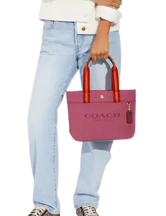 Coach Small Tote