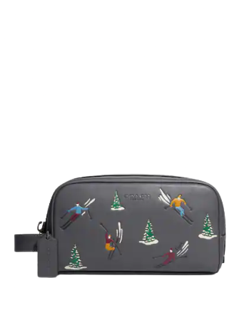 Coach Small Travel Kit With Ski Slope Print