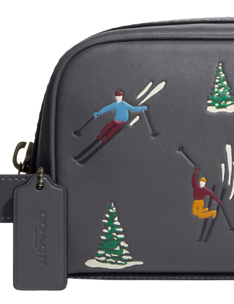 Coach Small Travel Kit With Ski Slope Print