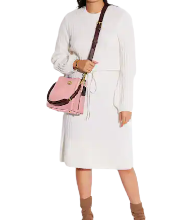 Coach Willow Bucket Bag In Colorblock