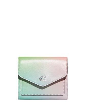 Coach Wyn Small Wallet With Ombre | Brixton Baker