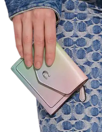 Coach Wyn Small Wallet With Ombre