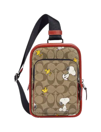 ＣＯＡＣＨ　ボストンバッグ　SNOOPY COACH コーチCOACH バック 新作 新品 スヌーピー PEANUTS ミニ