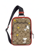 Coach X Peanuts Track Pack 14 In Signature Canvas With Snoopy Woodstock Print