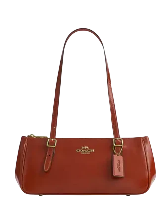 Coach Asher Shoulder Bag Cinnamon