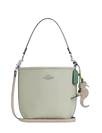 Coach City Bucket Bag With Seahorse Charm | Brixton Baker