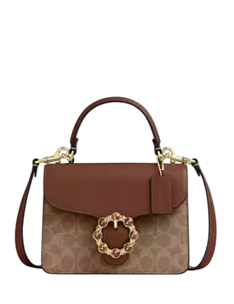 Coach Courtney Top Handle Bag In Signature Canvas