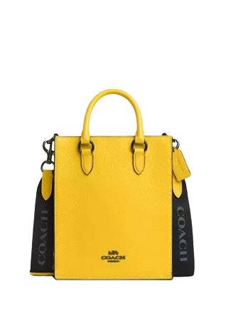 Coach Dylan Tote Bag Honey