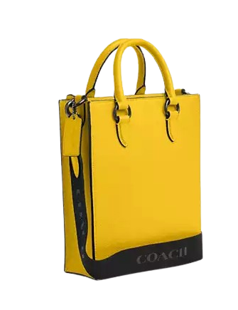 Coach Dylan Tote Bag Honey