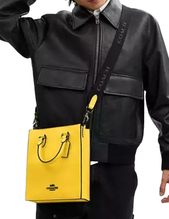 Coach Dylan Tote Bag Honey