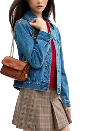 Coach Elodie Crossbody Bag 18 With Quilting Cinnamon