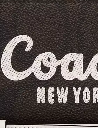 Coach Long Zip Around Wallet In Signature Canvas With Coach Graphic Walnut Chalk