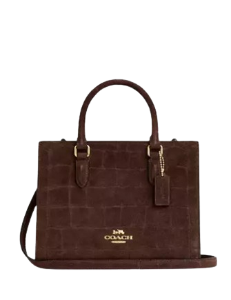 Coach Maggie Small Tote Bag