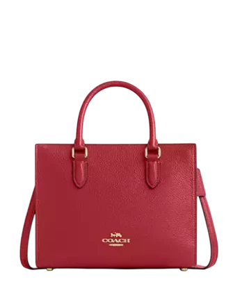 Coach Maggie Small Tote Bag