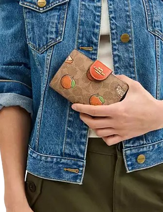 【★新作★Coach★Medium Corner Zip Wallet Orangeプリント】 Coach Medium Corner Zip Wallet In Signature Canvas With