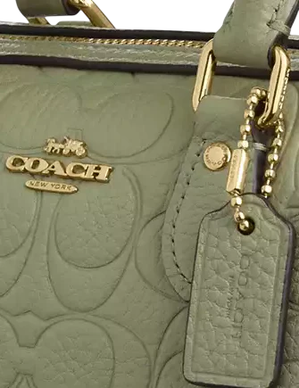 Coach Mini Rowan Crossbody Bag In Signature Leather Pistachio