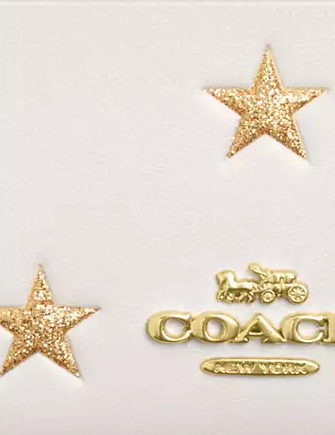 Coach Mini Skinny Id Case With Star Print Chalk 