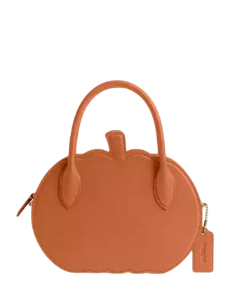 Coach Pumpkin Bag