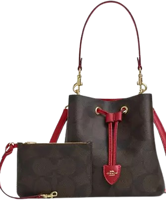 Coach Rowan Bucket Bag In Maxi Signature Canvas Walnut True Red