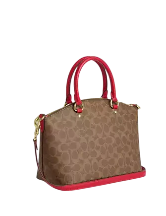 Coach Sadie Satchel Bag In Signature Canvas Tan Carnation