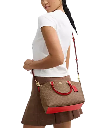 Coach Sadie Satchel Bag In Signature Canvas Tan Carnation