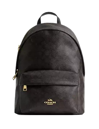 Coach Taylor Small Backpack In Signature Canvas