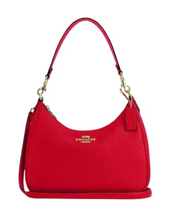 Coach Teri Hobo Bag