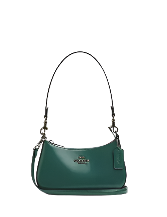 Coach Teri Mini Crossbody Bag | Brixton Baker