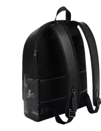 Coach West Backpack In Signature Canvas With Surf Print  Charcoal 