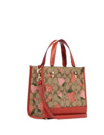 Strawberry 2025 coach purse
