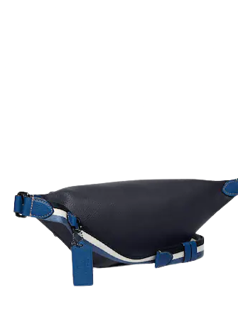 Disney coach sales fanny pack