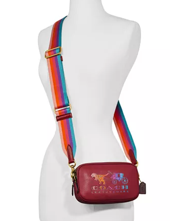 Coach Rexy and Carriage Sadie Crossbody
