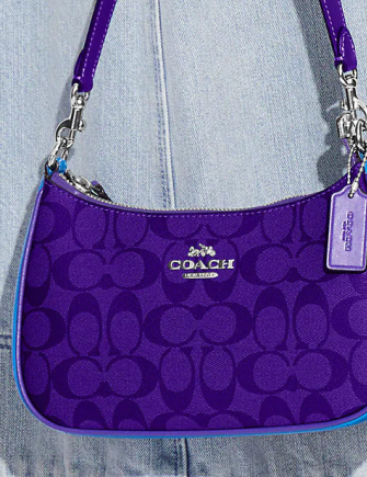 COACH®  Teri Shoulder Bag