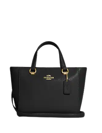 Coach Alice Satchel | Brixton Baker