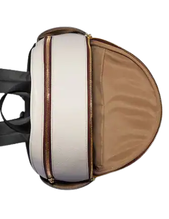 Coach Court Backpack In Signature Canvas With Tiger