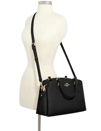 Coach Lillie Carryall