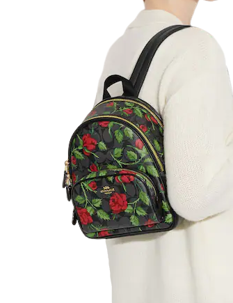 Coach Mini Court Backpack In Signature Canvas With Fairytale Rose Print