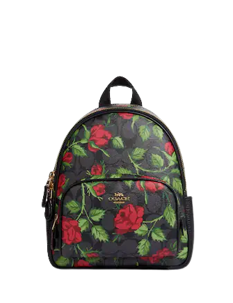 Coach Mini Court Backpack In Signature Canvas With Fairytale Rose Print