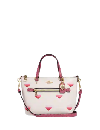 Coach Mini Gallery Crossbody With Stripe Heart Print