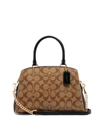 Coach Mini Lillie Carryall In Blocked Signature Canvas