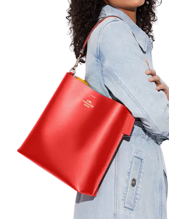 Coach Mollie Bucket Bag Brixton Baker