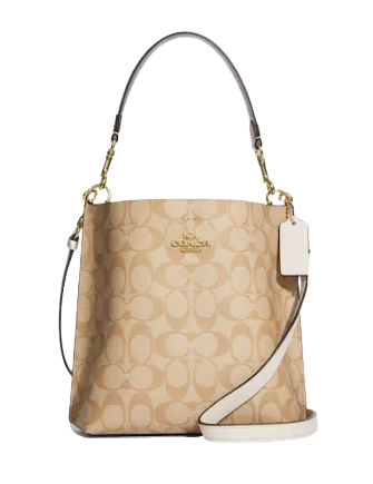 Coach Mollie Bucket Bag 22 In Signature Canvas