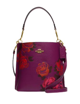 Coach Mollie Bucket Bag 22 With Jumbo Floral Print