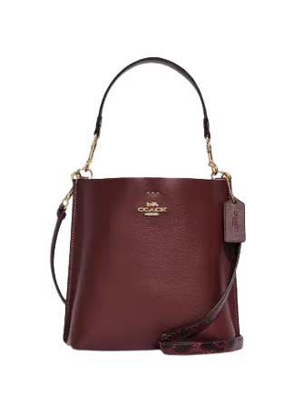 Coach Mollie Bucket Bag 22