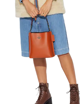 Coach Mollie Bucket Bag 22