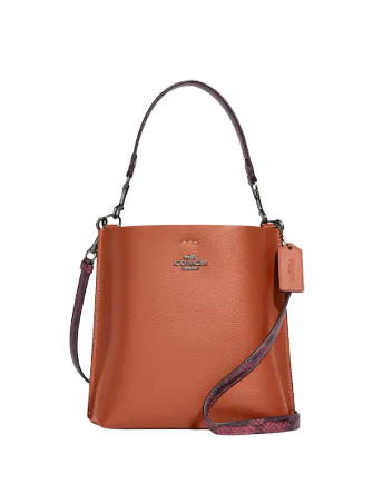 Coach Mollie Bucket Bag 22